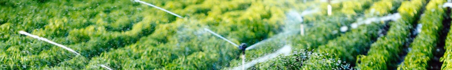 IBC SULAMA SİSTEMLERİ