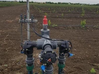 80 HA Samux СasaAgro