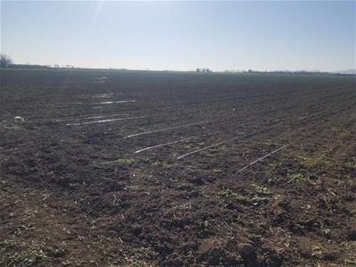 750HA SOĞAN PROJEMİZ