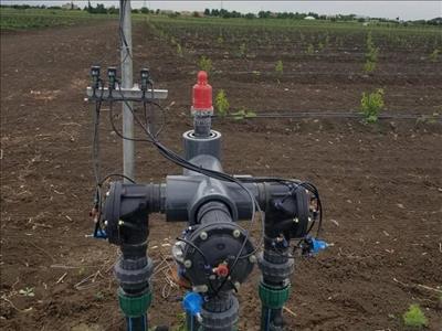 80 HA Samux СasaAgro