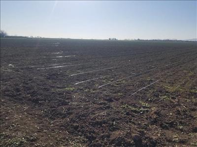750HA SOĞAN PROJEMİZ
