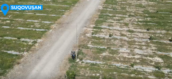 Sukavuşan (ter ter) projemiz